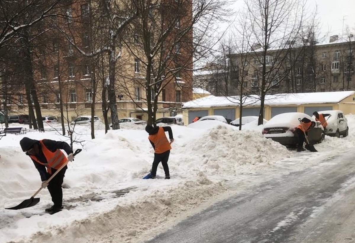В Петербурге на 20 процентов вырос спрос на дворников