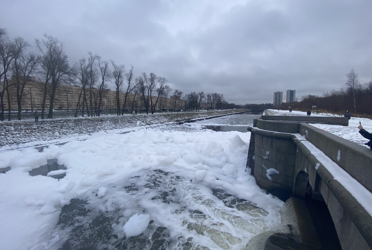 В ЗакСе заинтересовались причиной загрязнения Дудергофского канала