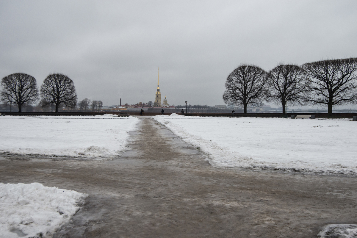 Петербуржцам пообещали, что морозов больше не будет