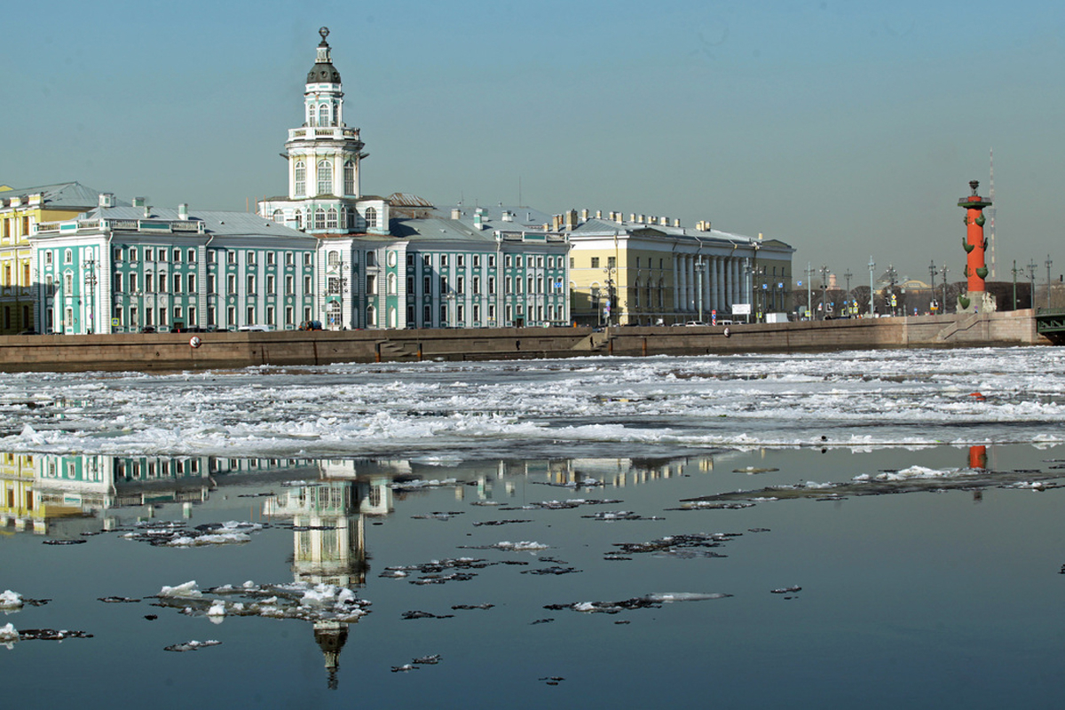 В России выросло число преступлений, совершенных иностранными гражданами