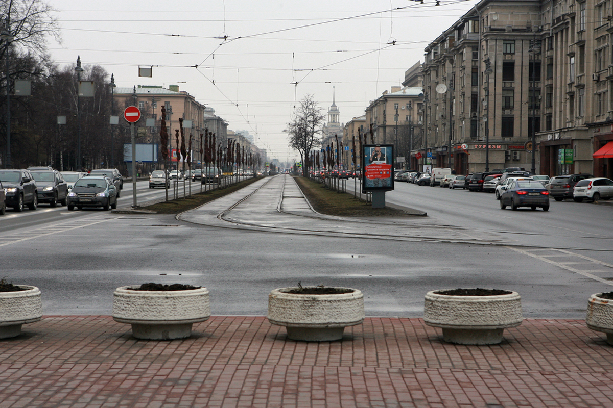 В парке на Московском проспекте иностранцу нанесли ножевое ранение