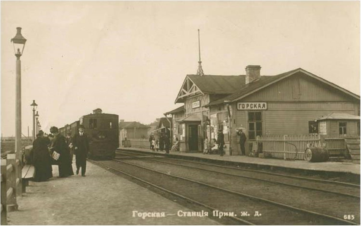 Группа компаний «Алькор» будет содержать поселок Лисий Нос