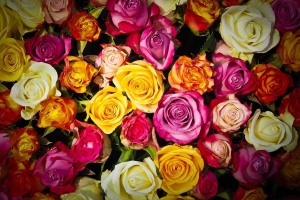 Фото