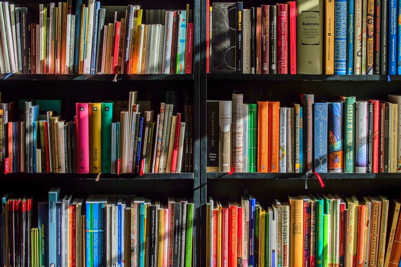 В книжные магазины Петербурга может наведаться полиция