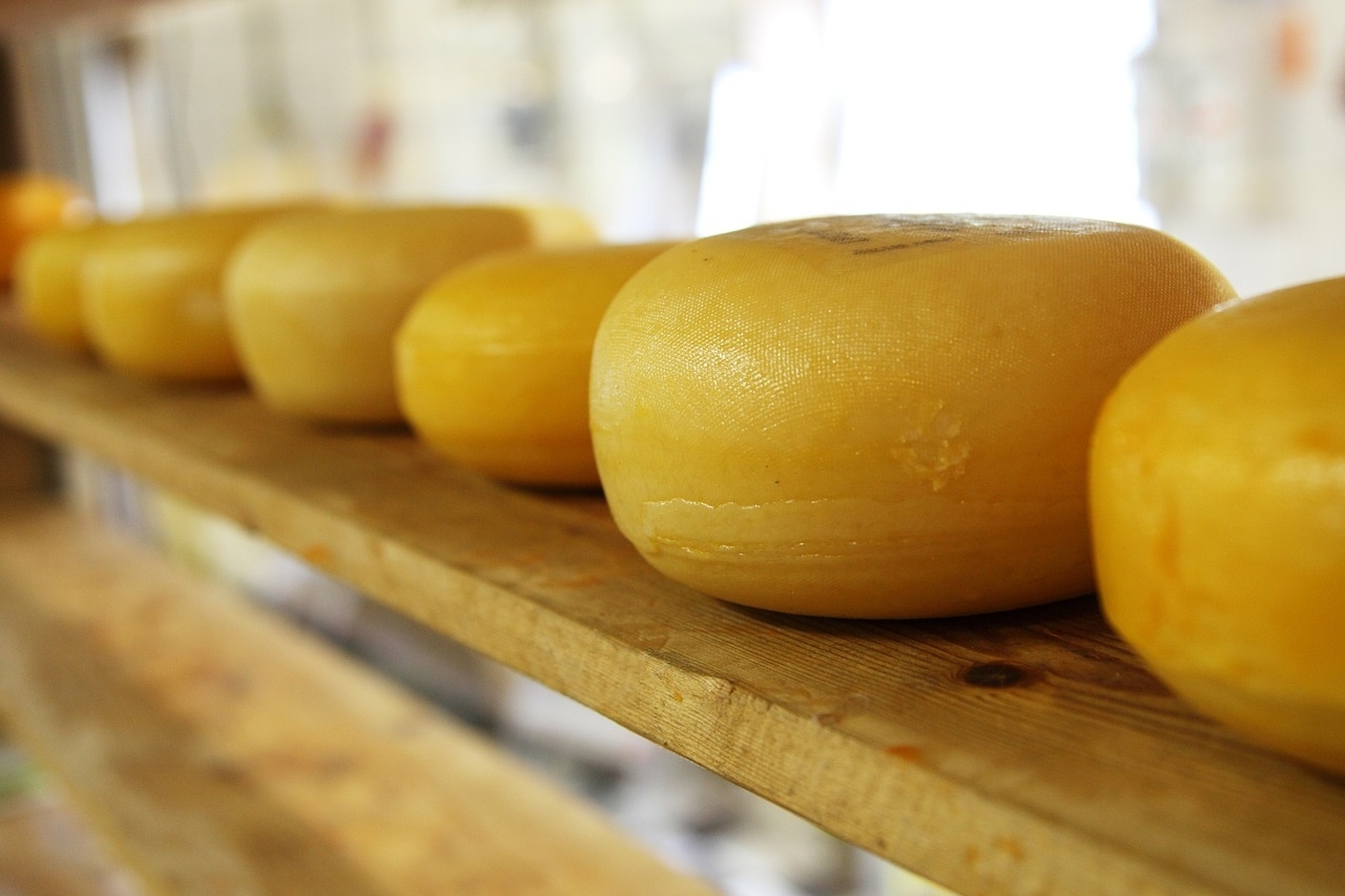 Новосибирская молочная фабрика разрабатывает новую продукцию