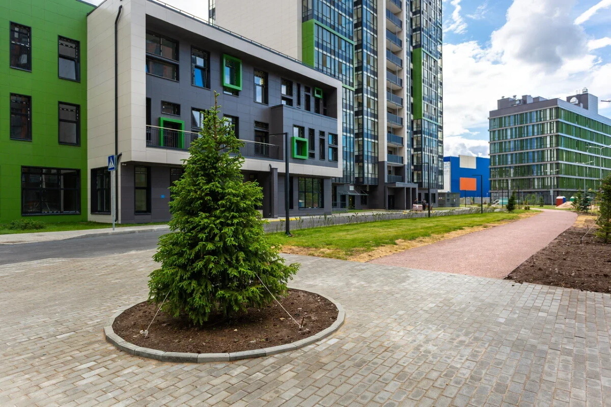 Петербуржцам рассказали, что нужно знать при выборе управляющей компании