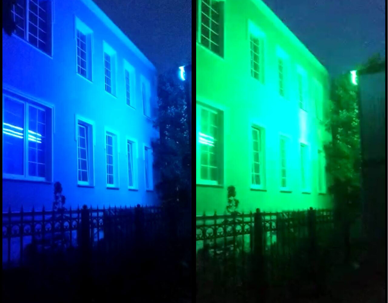 Письмо Беглову про «Дентал-мед» стало причиной «неоновой атаки» в Стрельне