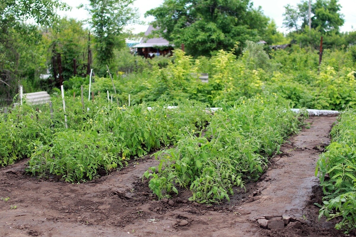 Всех, у кого есть квартира или дача, ждет сюрприз в апреле 2023 года