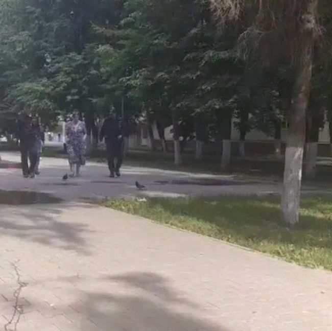 Туляки пожаловались на состояние сквера Героев Тульского Рабочего Полка