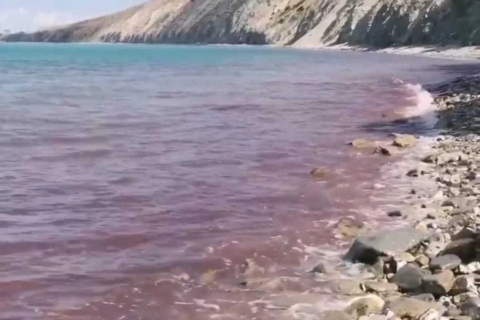 На Кубани Черное море изменило цвет