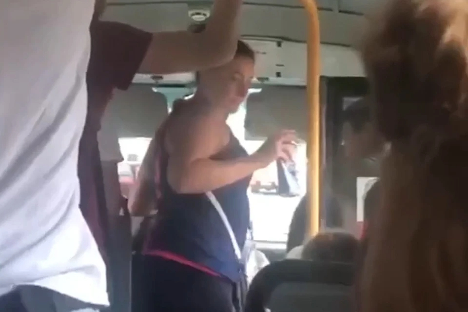 На Кубани туристка с ребенком устроила пьяный дебош в автобусе