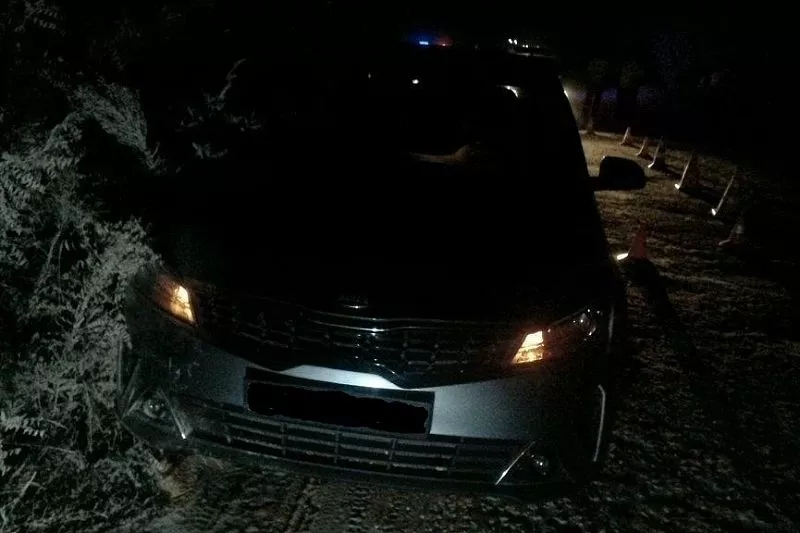 В Краснодарском крае в ДТП погибла шестилетняя девочка из Рязанской области