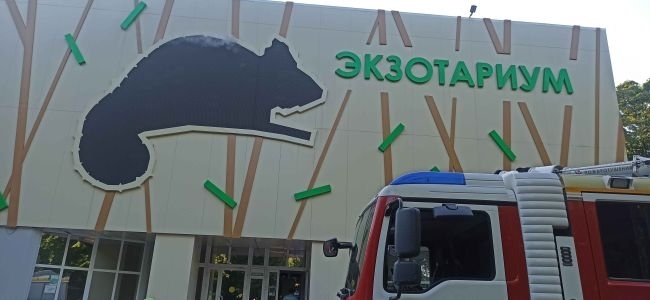 На здании тульского экзотариума загорелось электронное табло в виде хамелеона