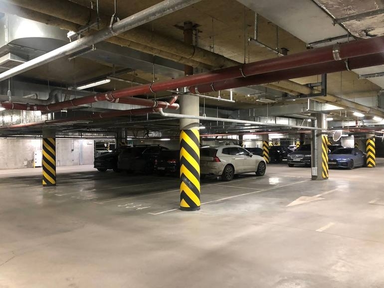 Автонедвижимость Петербурга бьет рекорды по цене, спросу и предложению