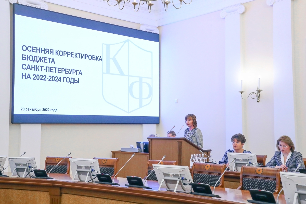 Дополнительные доходы бюджета Петербурга направят на здравоохранение и социальную поддержку
