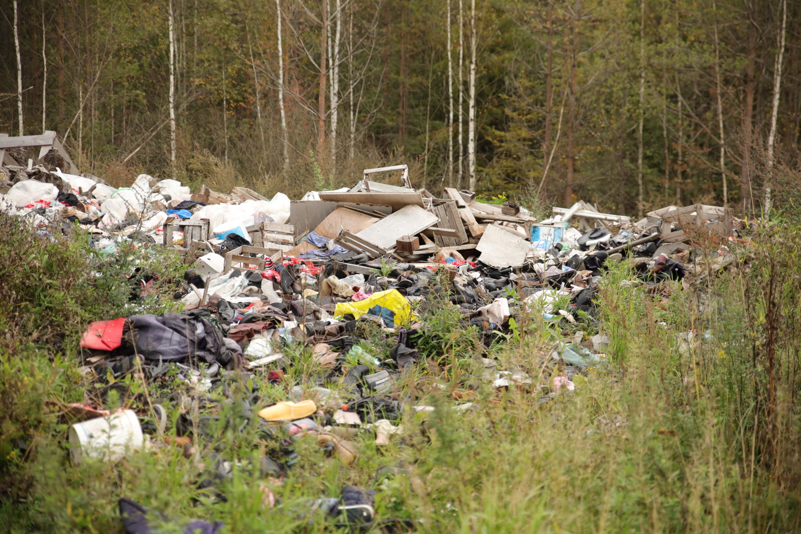 В Петербурге хотят повысить штрафы за нелегальные свалки мусора