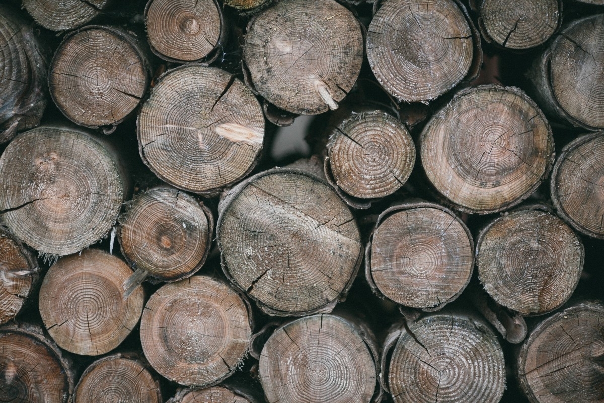 «MM Holz» продала лесопильный завод «ММ-Ефимовский» в Ленобласти