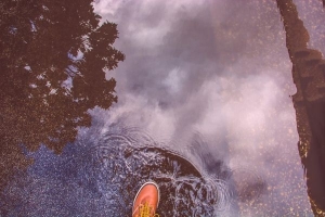 Фото