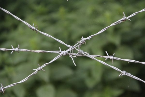Под Астраханью иностранца держали в рабстве 