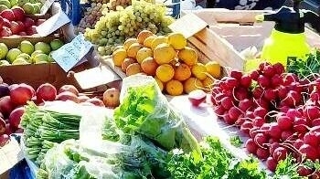 В Астрахани предстоящую сельхозярмарку посвятят Дню сельхозработника
