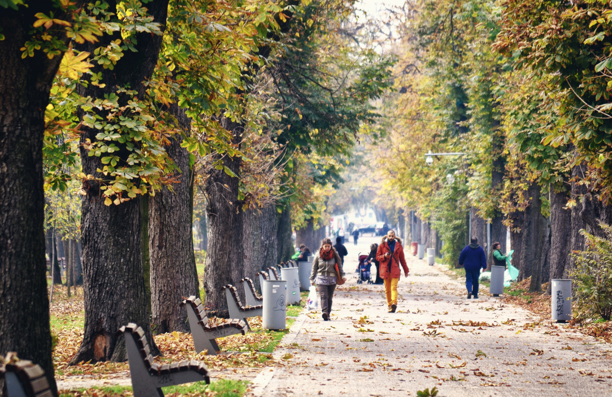 В Петербурге высадят рощу в честь 80-летия снятия блокады