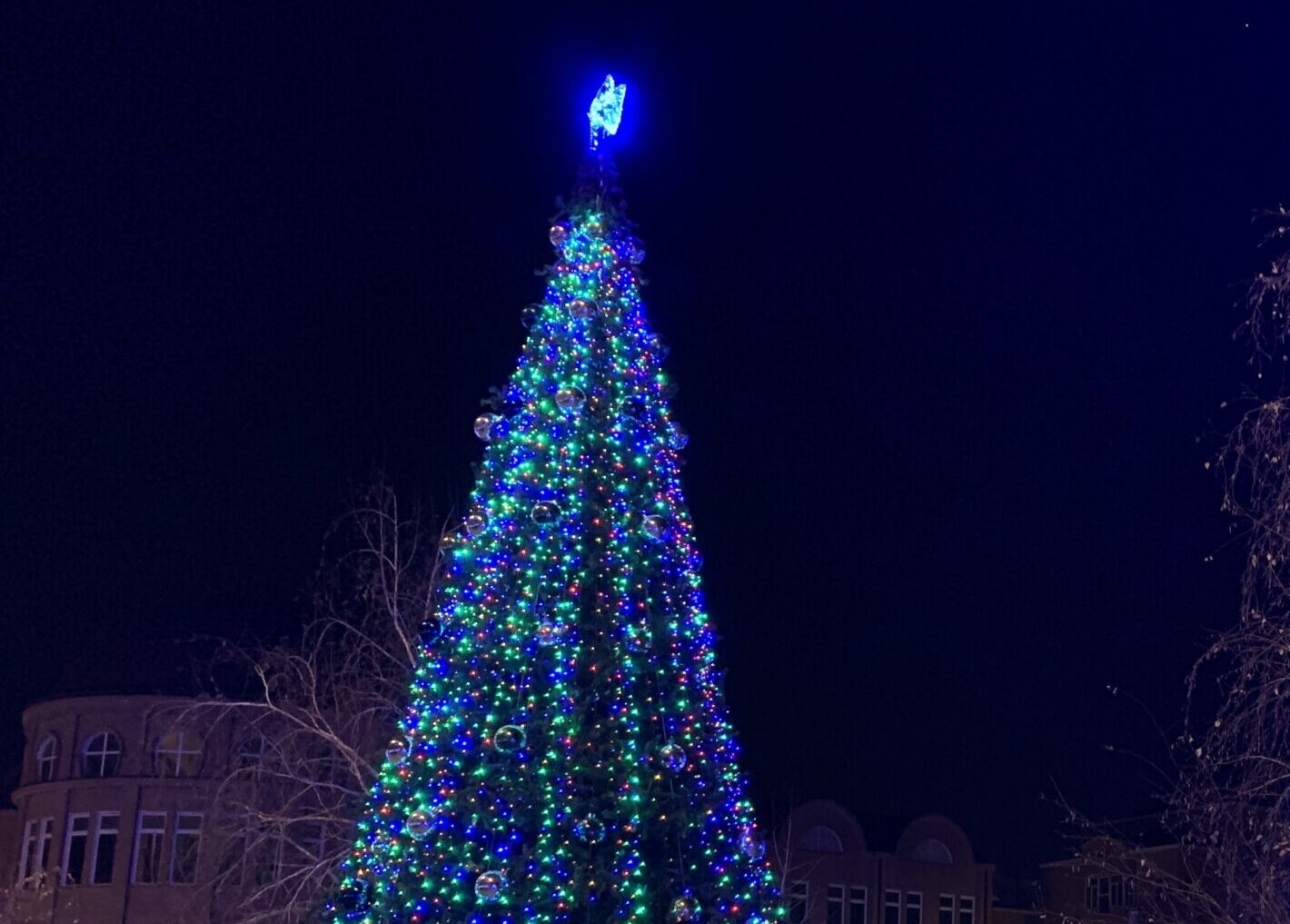 Главные новости Астрахани за 17 декабря