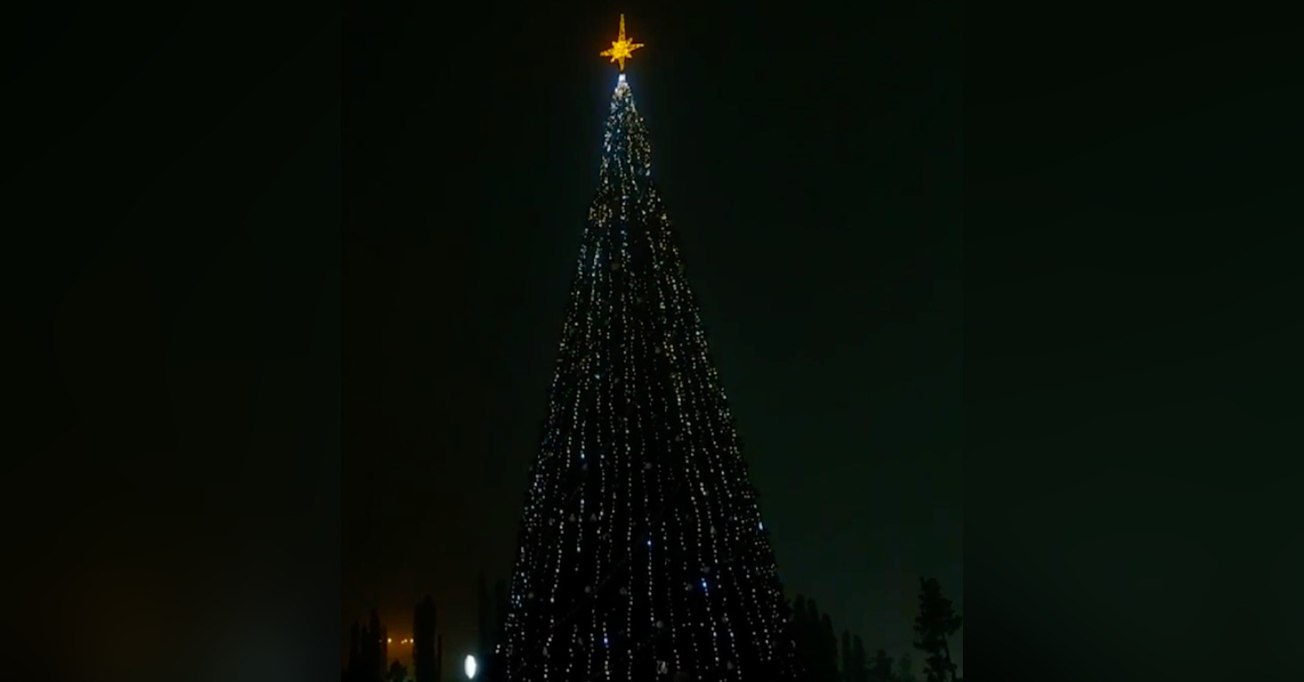 В Волгограде 24 декабря зажгли огни на Центральной елке 