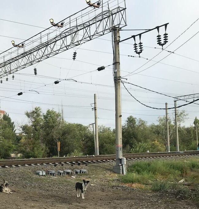 ПривЖД 13 декабря перекроет переезд в Астраханской области  