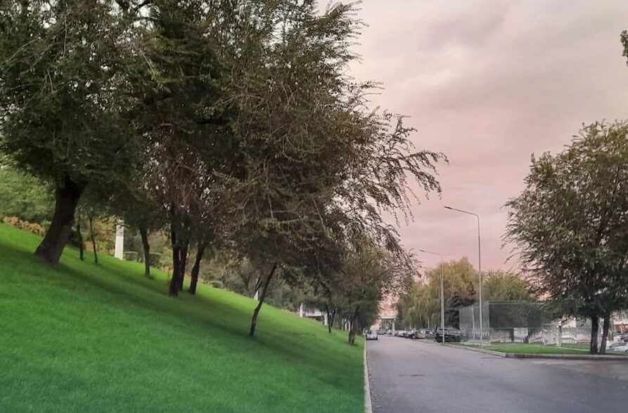 Пространство вдоль набережной в Волгограде продолжит обновлять «Стройплощадка+»