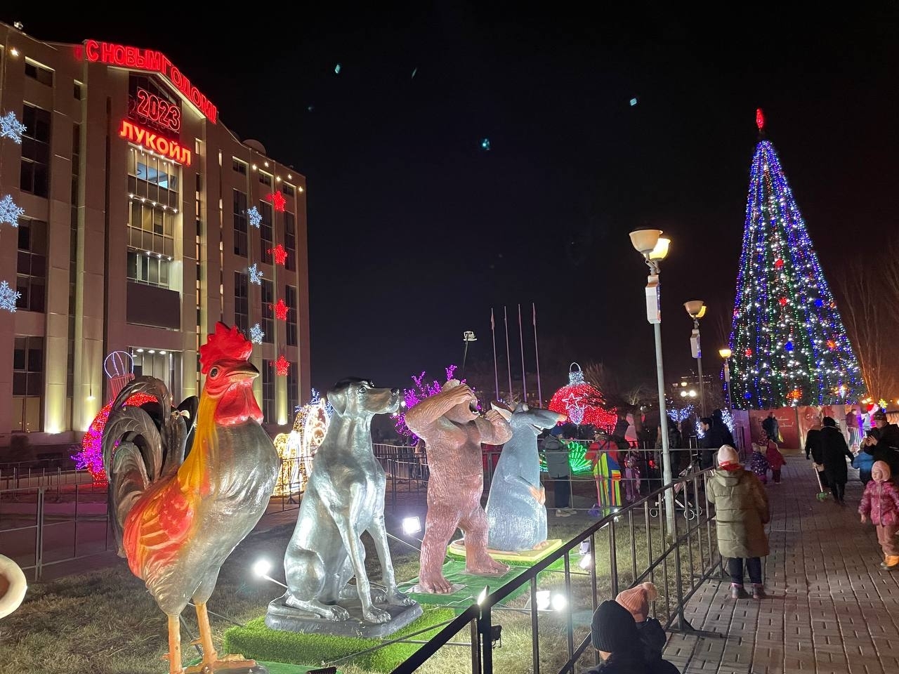 Главные новости Астрахани за 21 декабря