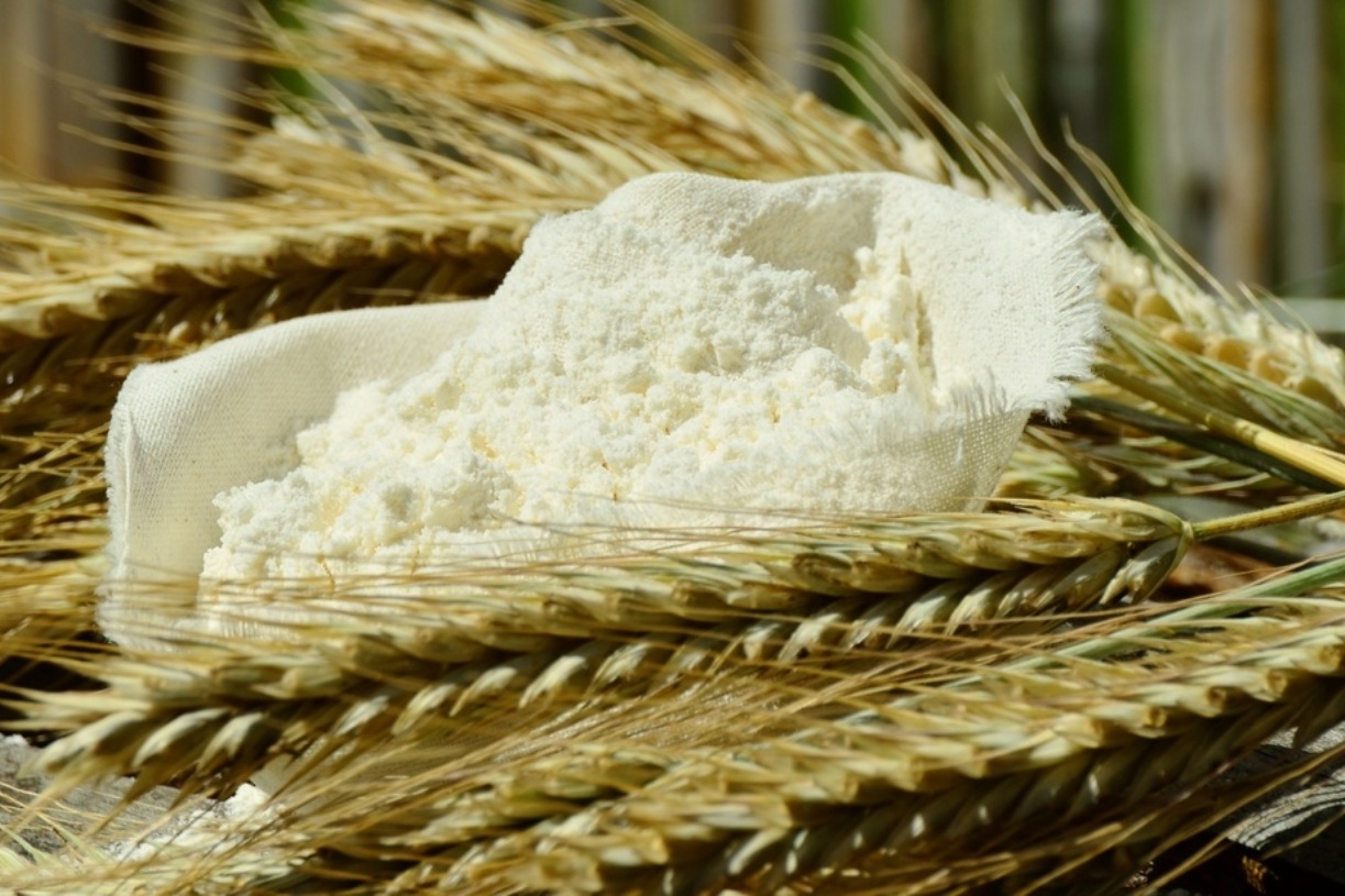 «Агромельпродукт» построит мукомольный комбинат за 484 млн рублей в Ингушетии