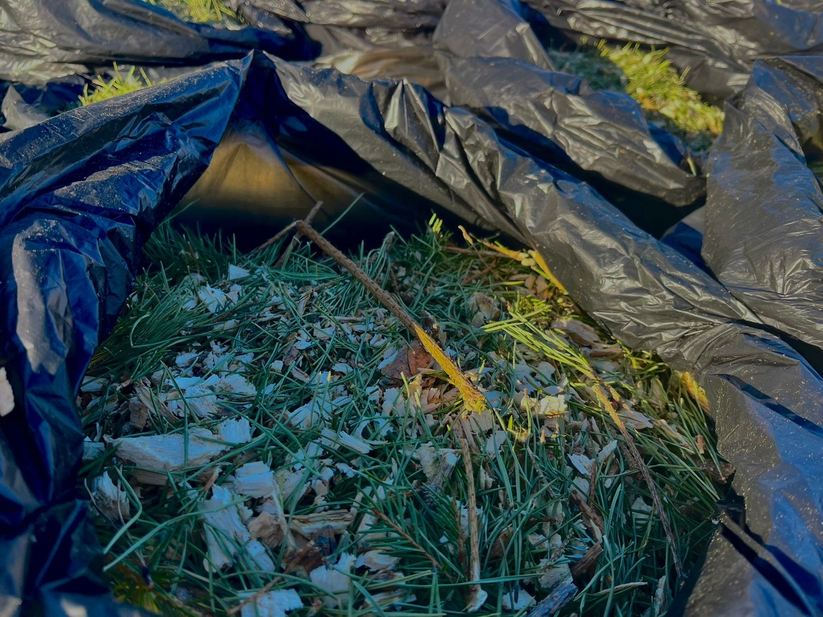 Астраханский регоператор «ЭкоЦентр» передал переработанные елки в зоопарк 