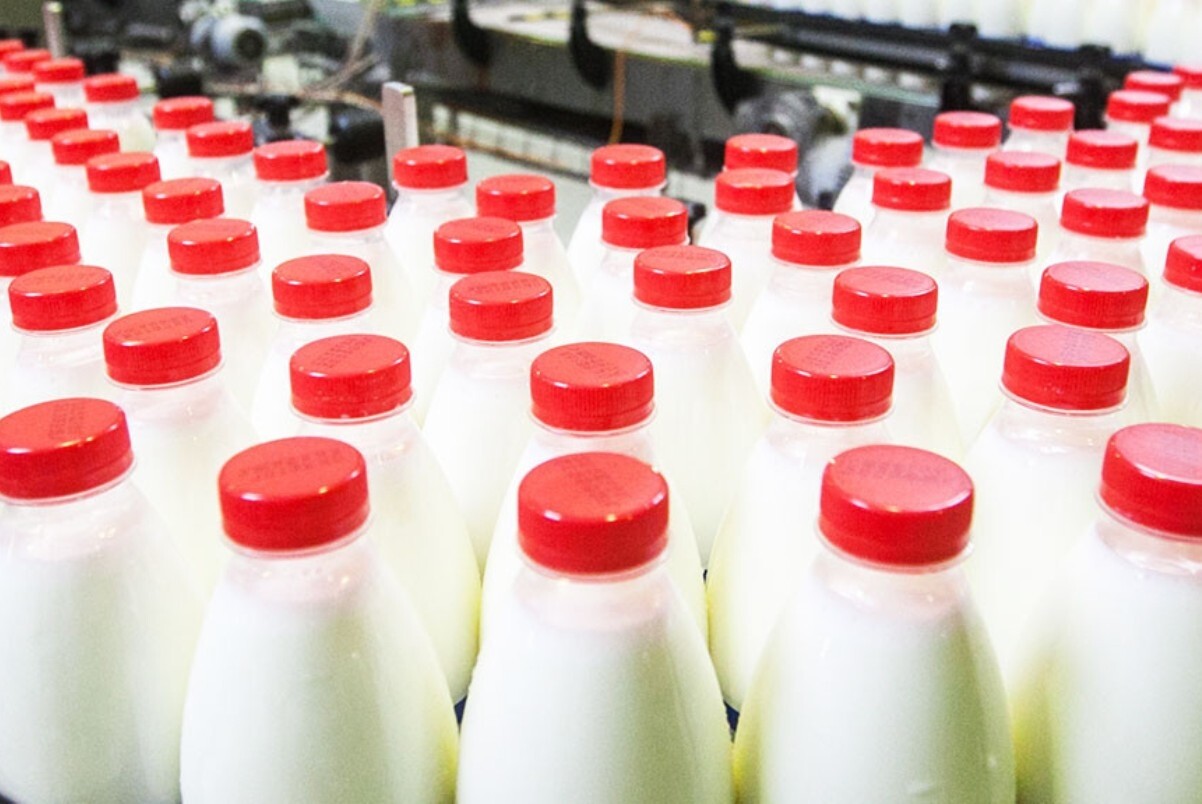 Молочный завод из Талдома наладил поставку кошерной продукции по всей РФ