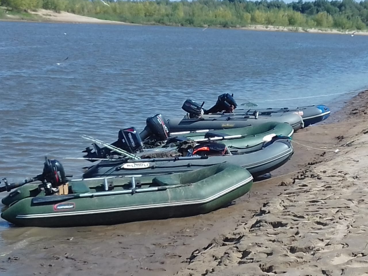 В Астраханской области установят график вылова воблы 