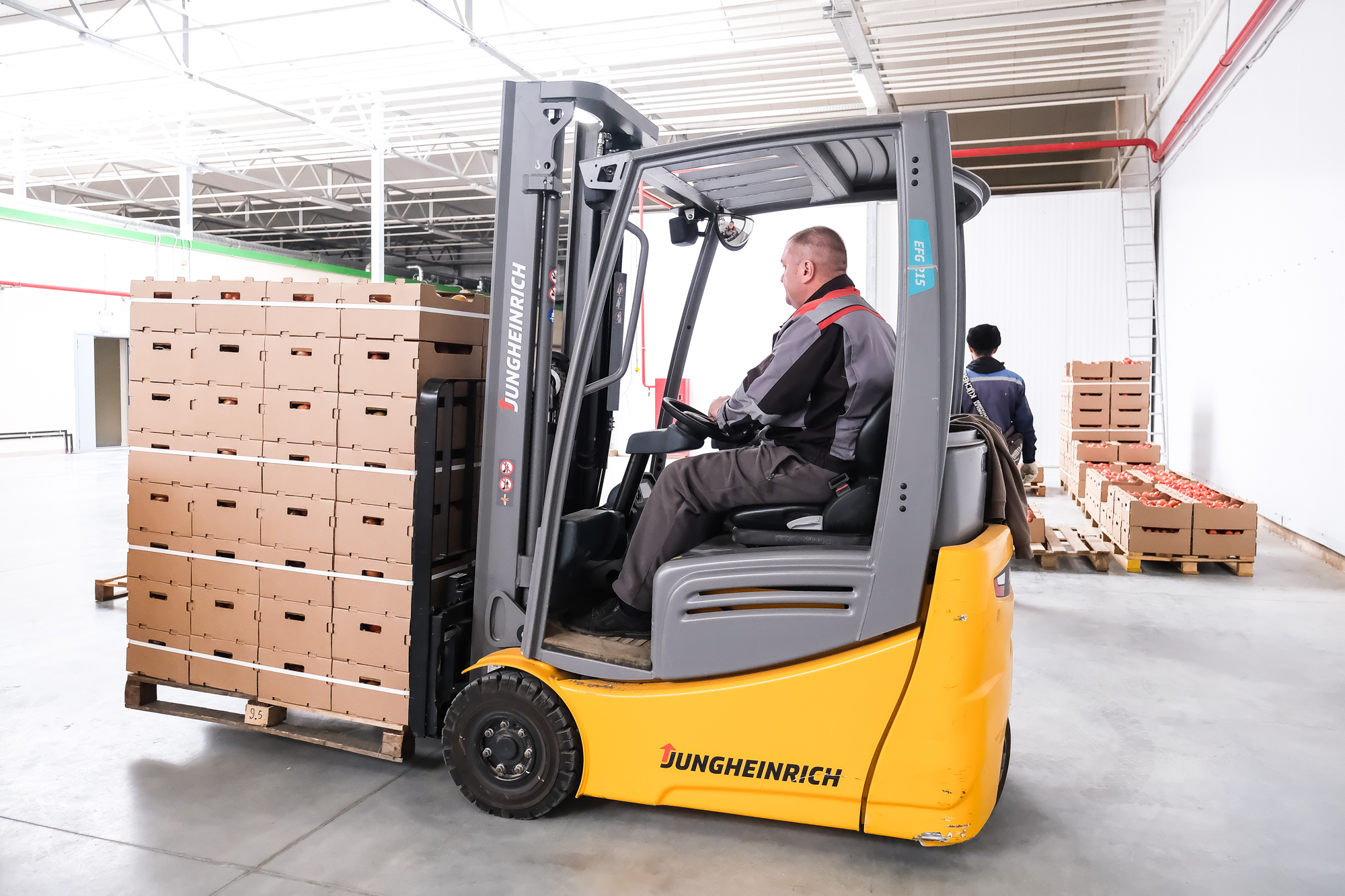 Астраханское ООО Тепличный комплекс «КЕДР» стал крупным работодателем региона 