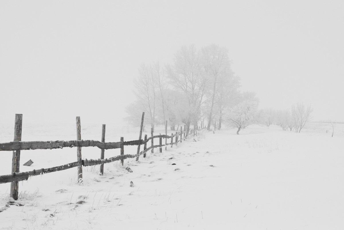 Синоптики РФ дали неожиданный прогноз на 12 января 2023 года