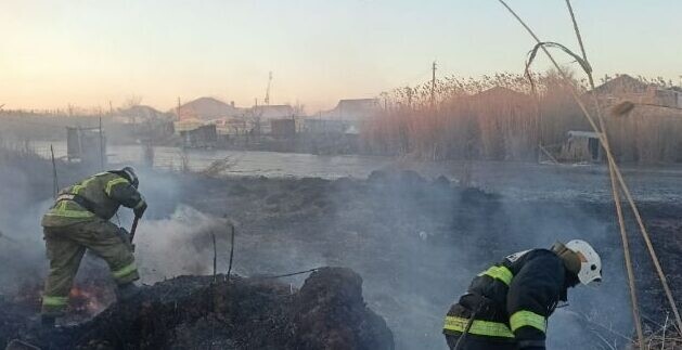 В Астраханской области возгорание камыша переросло в крупный пожар