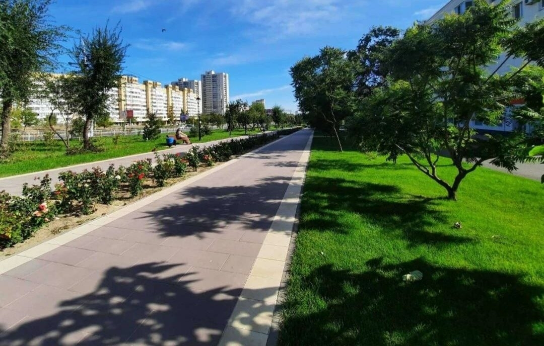 Волгоградцы смогут сами выбрать зоны для благоустройства в 2024 году 