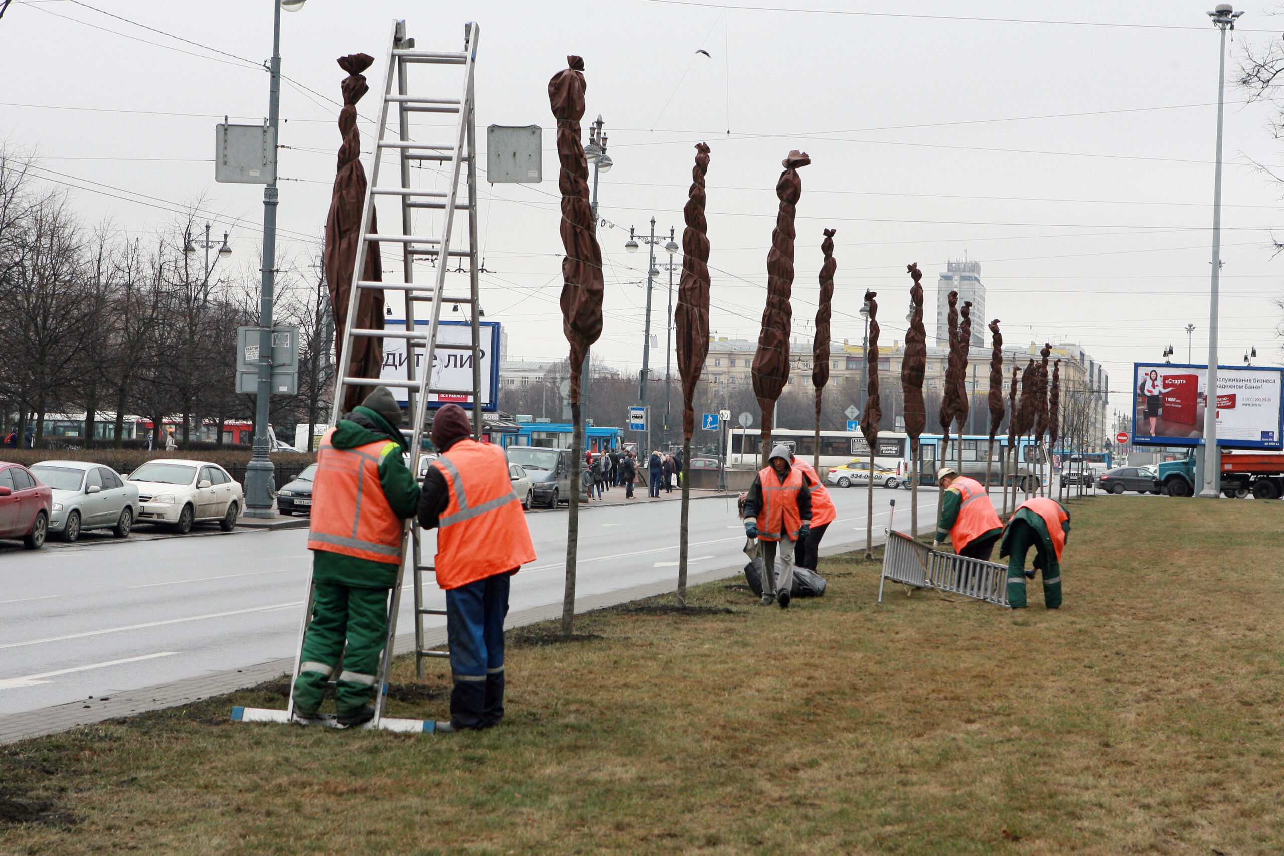 В Петербурге ищут подрядчика на содержание зеленых насаждений за 57,4 млн рублей