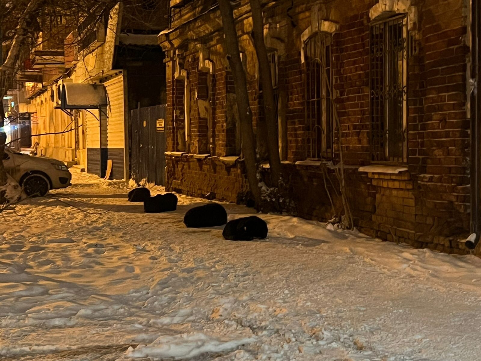 Главные новости Астрахани за 18 февраля