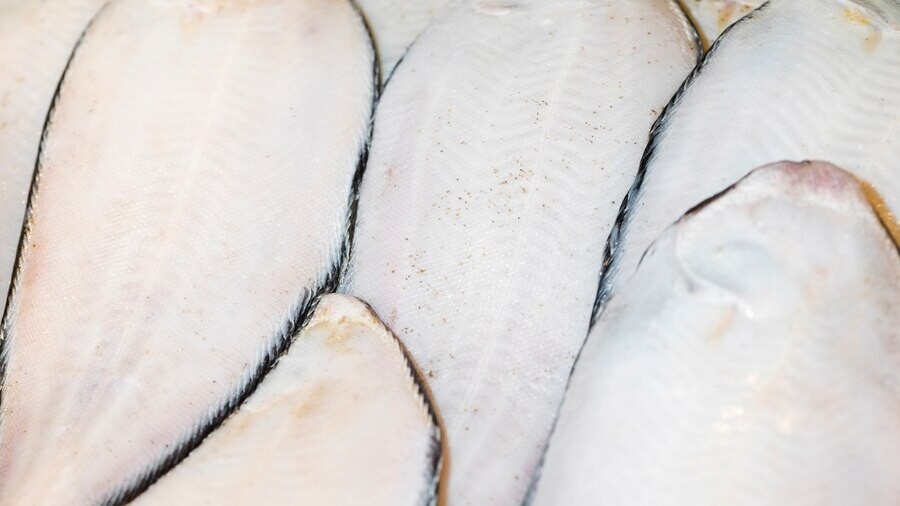 Из Астраханской области экспортировали шесть партий рыбы массой свыше 122 тонн