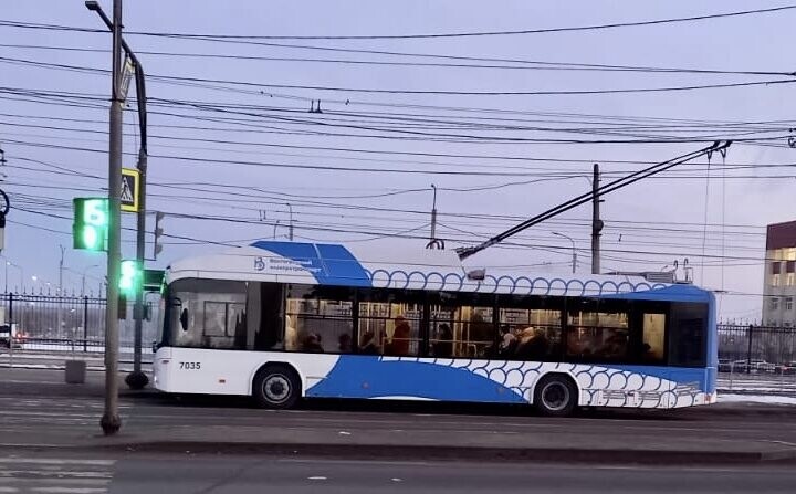 Бастрыкин поручил доложить о причинах закрытия троллейбусной линии в Волгограде 