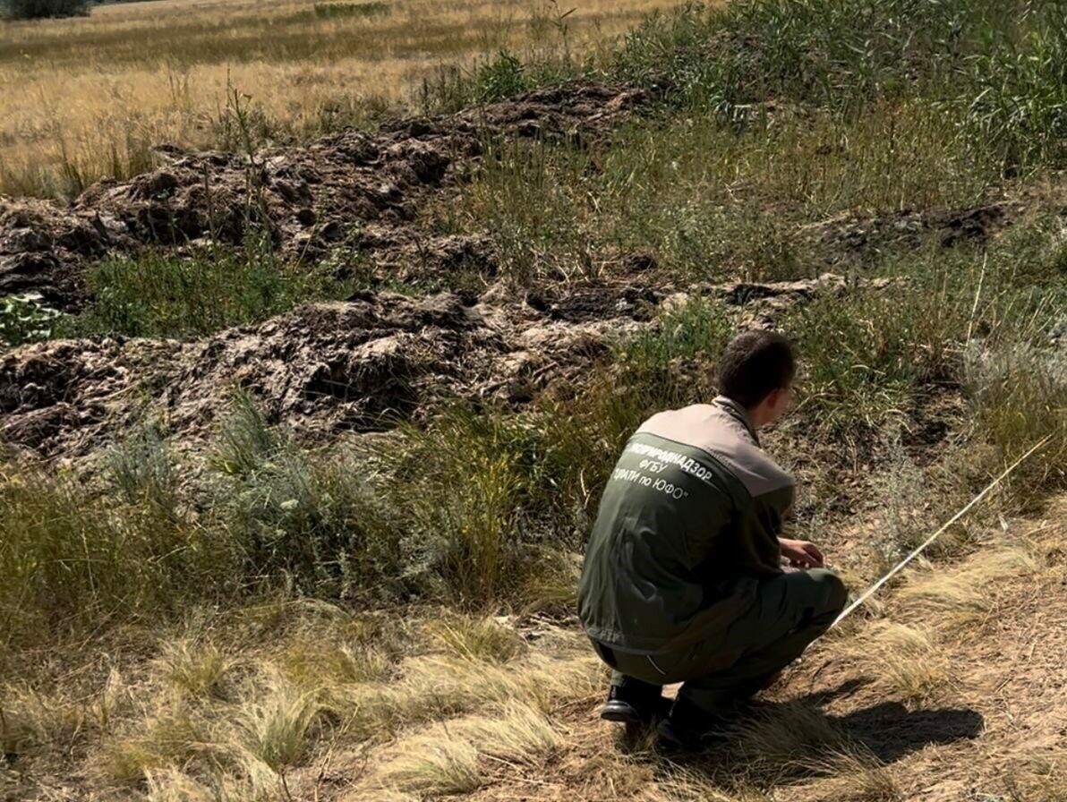 Птицефабрика «Волжская» задолжала свыше 1,2 миллиона рублей за ущерб почвам 