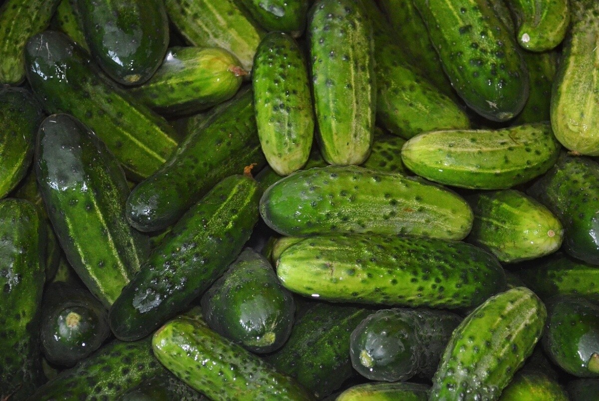 МК: фермеры и торговцы объяснили резкий рост цен на овощи в РФ