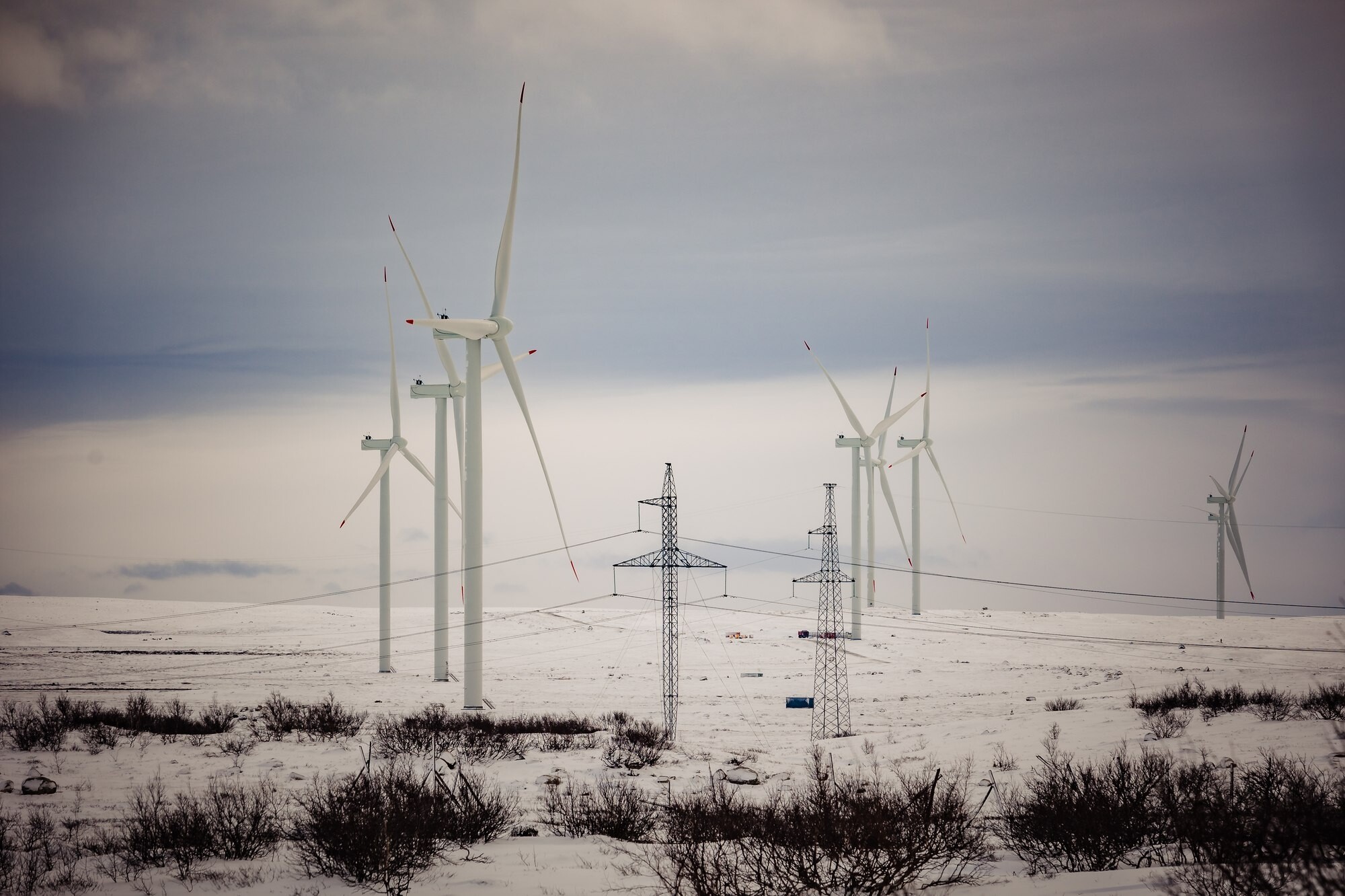 Компания «ЭЛ5-Энерго» поддержит съемку фильма в районе Кольской ВЭС