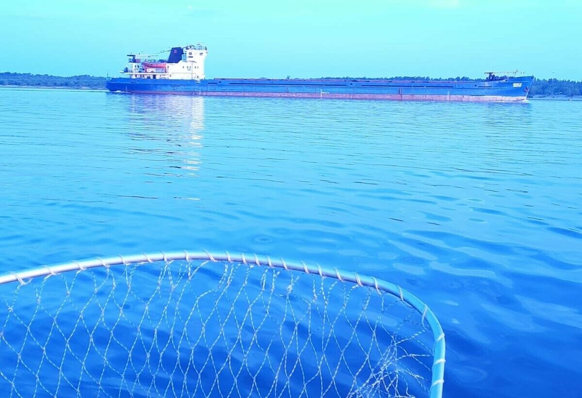 Астраханцев спросят мнение на тему туризма 