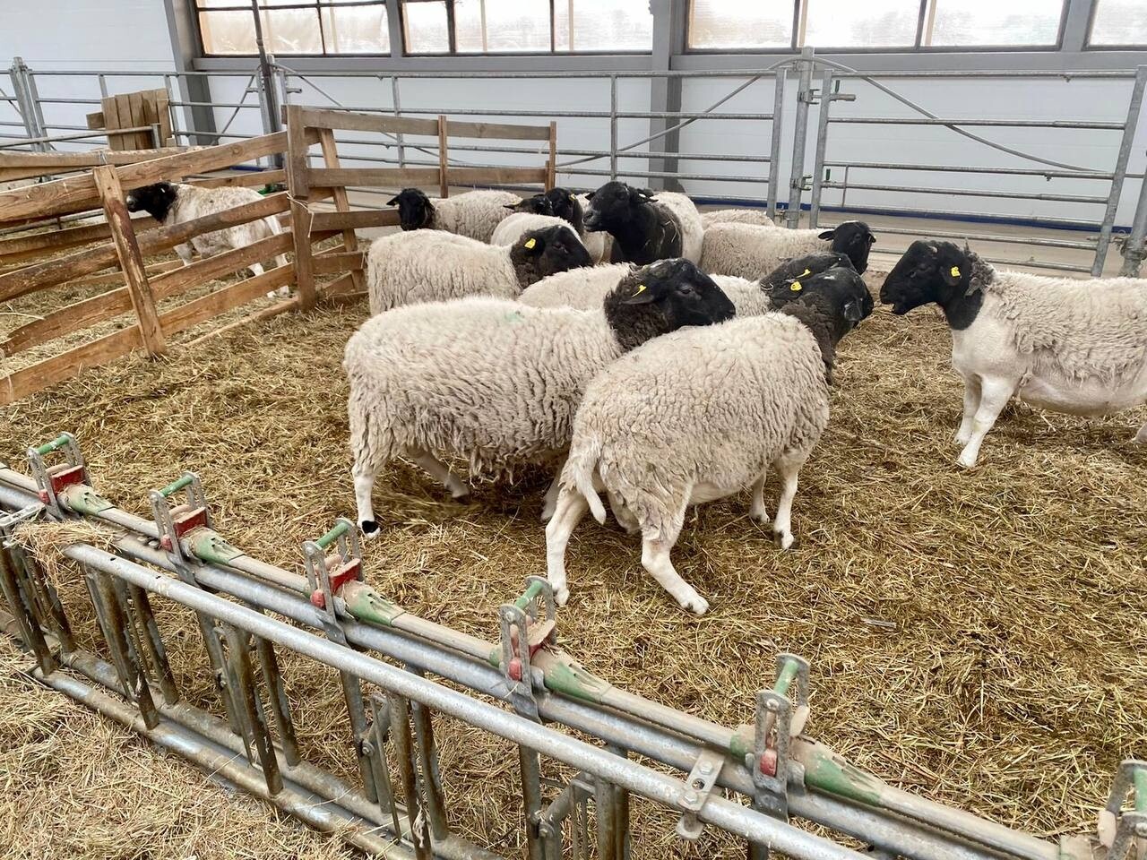 Астраханская компания «Артель» примет участие в выставке в Дагестане 