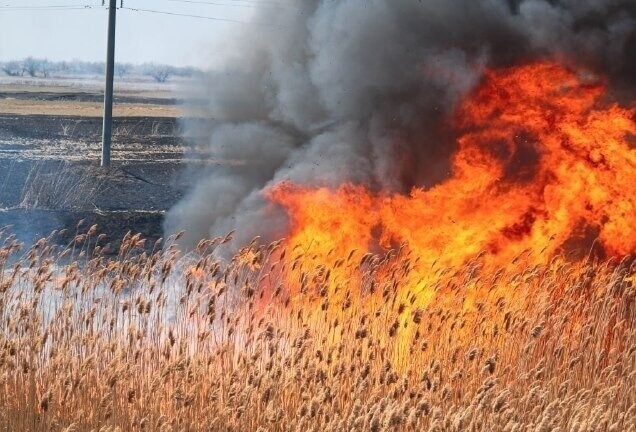 В Астраханской области начал действовать особый противопожарный режим
