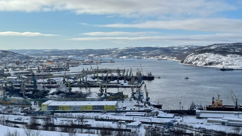 Предприятия Мурманской области сумели адаптироваться в вопросе импортозамещения инвестиционных товаров