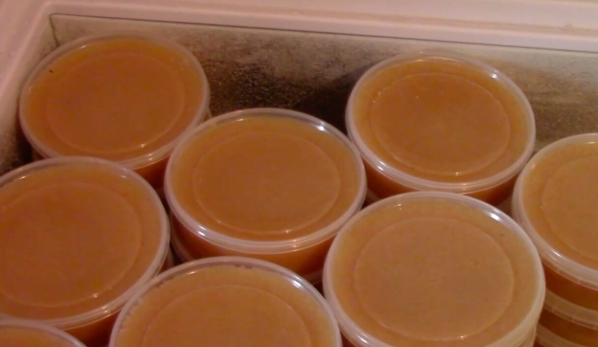 В Астрахани обнаружили 635 щучьей икры без документов 